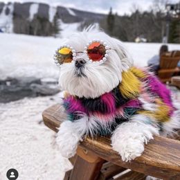 Puppy Teddy Schnauzer Sunglasses Dog Apparel Cute Cat Dogs Glasses Pet Fashion Pearl Sunglasses350o