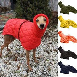 Dog Winter Warm Cotton Pure Colour Belt Adjustable Fashion Trend Cute High Collar Pet Clothing 201126278Q