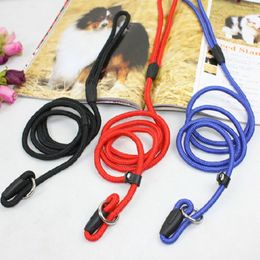 Nylon Dog Training Leash Dogs P Chain Slip Collar Walking Leads Rope S M L For Small Medium Breeds Chihuahua Teddy284q