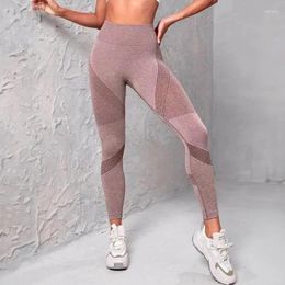 Active Pants Contour Seamless Leggings High Waisted Sexy Yoga Scrunch BuFitness Clothing Hip Lift Curve Workout Sportswear
