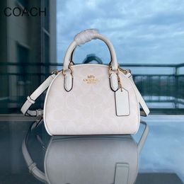 a Stylish Handbag From a Top American Designer New Sydney Half Moon Bag Aolai Glacier White Coating Old Flower One Shoulder Crossbody Mantou Girl