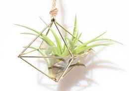 air plant holder Hanging Tillandsia Air Plants Rack Metal Geometric Iron Art Flower Planter Pot Gardening Accessories Home Office 1086898