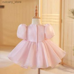 Girl's Dresses Pink Lace Baby Girl Dresses for Birthday Baptism Dresses Appliques Kids Wedding Party Princess Tulle Tutu Gown Formal Costume L240313