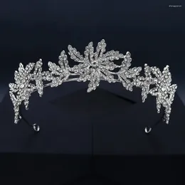 Hair Clips Bridal Crown Alloy Rhinestone Headdress Princess Birthday Party Accessories Wedding Po Shoot Headband