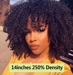 250 Density Afro Kinky Curly Lace Front Human Hair Wigs With Bangs Short Bob Lace Frontal Wig For Women Full 4B 4C Dolago Black3575184