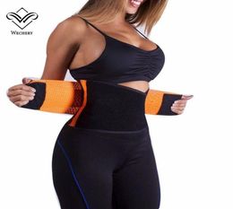 Sweat Belt Slmming Neoprene Waist Trainer For Men Women Sports Waist Cincher Control Body Shaper Plus Size Shaperwear1537347