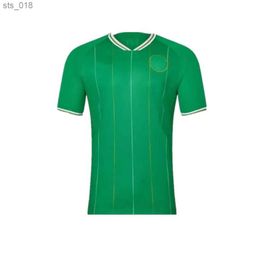 Fans Tops Soccer Jerseys /24 Home Ireland home kit DOHERTY DUFFY Euro National Team BRADY KEANE McCABE Football shirt kids uniformH240312