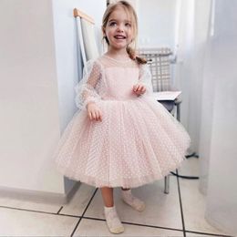 Childrens Wedding Dress Polka Dot Lace Long Sleeved Performance Birthday Fluffy Short Skirt Flower Girl 240306