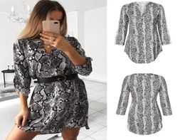 Casual Dresses Sexy Mini Dress Loose Fit Long Sleeve Snake Print Leopard Women V Neck Sukienka Xl Summer Beach Honeymoon Open Side8240579