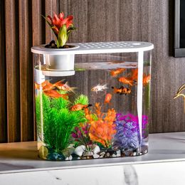Tabletop Mini Goldfish Bowl Viewing Tank Fish Bucket Transparent Plastic Cylinder Office Supply 240226