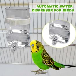Other Bird Supplies 200ML Drinking Parrot Kettle Large Automatic Water Feeder Pet Chinchilla Cup Outdoor Cage Chickens Drinker