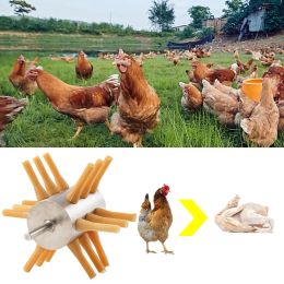 Carriers 1PCS Chicken Plucker Drill Attachment Stainless Steel Chicken Chicken Machine Feather 18 Removal Plucker Fingers Plucker Q2P8