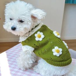 Pet Cute Sweater 3D Classic Flowers Blossoming 2-Legged Knit Clothes For Cold Weather Small Medium Dog Cat Arrival 240307