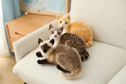 Toys 2540 cm Simulation Cat Plush Toys American Shorthai Siamese Kitty Cute Pet Doll Stuffed Animal Children Home Decor Baby Gift