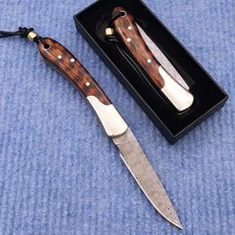 Camping Hunting Knives Pocket Knife Handmade Damascus Steel Foldable Simple Portable Camping Knives Sharp Tools Fruit Cutter Outdoor Survival EDC 240312