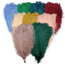 Boxes 10pcs Colored Ostrich Feathers for Crafts White Big Ostrich Feather Decor Table Centerpieces Carnival Wedding Party Decoration