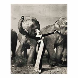 Richard Avedon Dovima With Elephants Evening Dress Poster Painting Home Decor Framed Or Unframed Popaper Material202C