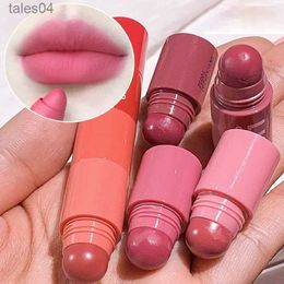 Lipstick 4 Colour 4 In 1 Nude Matte Lipstick Pen Lip Liner Pencil Waterproof Long Lasting Lipgloss Plum Pink Plump Lip Stain Korean Makeup 240313