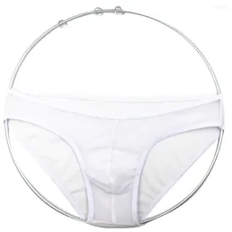 Underpants High Elastic Mesh Underwear Thong Panties For Men Sexy And Breathable Low Rise Lingerie Available In Multiple Colors