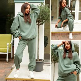 Keep Warm Pullover Elastic Cuff Deep Crotch Winter Hoodie Pants Set for Daily Wear 240309