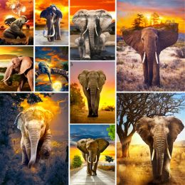 Number Animal Elephant Colouring By Numbers Painting Package Acrylic Paints 40*50 Canvas Pictures Home Decoration For Adults Handicraft