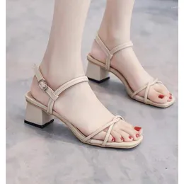 Dress Shoes Fashion Woman Sandals 2024 Summer Style Square High Heels Slip On Women Ladies Work Sandalias Low Heeled