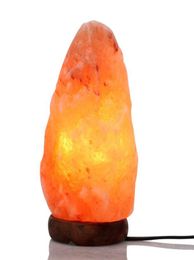 Natural Himalayan Glow Hand Carved Salt Lamp With Genuine Wood Base Bulb On and Off Switch Decorative Night Light 35KG 57KG 2pcs1405681