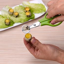 Practical 10PCS Stainless Steel Quail Egg Cutter Scissors Bird Opener Cracker Kitchen Clipper Tool 240307