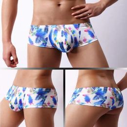 Underpants Gay Low Waist Men's Underwear Head Print U Convex Mesh Breathable Moisture Wicking Small Flat Angle E072