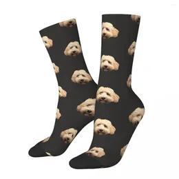 Men's Socks All Seasons Crew Stockings Rosie The Goldendoodle Harajuku Crazy Hip Hop Long Accessories For Men Women Gifts