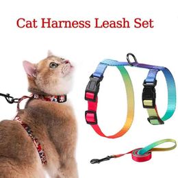 Dog Cat Harness Leash Set Breathable Adjustable Pet Harness Vest Chest Rope for Small Puppy Dogs Cats Outdoor Walking 240229