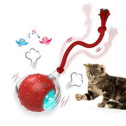 Cat Rolling Ball Bird Chirping Interactive Cats Toys Motion Sensor Cat Toy Balls Random Rolling Pet Kitten Teaser Long Tail 240229