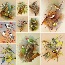 Number Animal Bird Cartoon Paint By Numbers Complete Kit Acrylic Paints 40*50 Boards By Numbers Decorative Paintings For Kids Wholesale