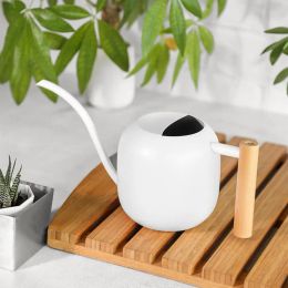 Cans 1200ML Watering Can Stainless Steel Long Spout Wooden Handle Modern Indoor Outdoor Plant Flowers Watering Pot Gardening Supplies