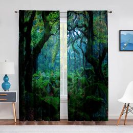 Curtains Forest Sheer Voile Curtain Nature Green Tree Stone Landscape Scenery Jungle Tulle Curtains for Bedroom Living Room Kitchen Decor