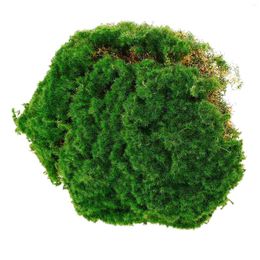 Carpets Artificial Moss Mat Simulation Pad Life-like Lawns Villa Garden Decor