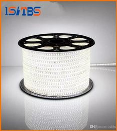 100m 110V 220V Led Strips smd 2835 LED rope light IP67 Flex LED Strip lights Outdoor Lighting string Disco Bar Pub Christmas Party2593203