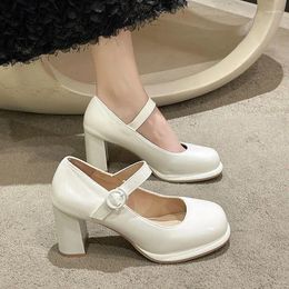 Dress Shoes Women's Summer Footwear Pumps High Heels For Woman 2024 Gothic Round Toe Mary Jane On Heeled White Japanese Style Lolita E