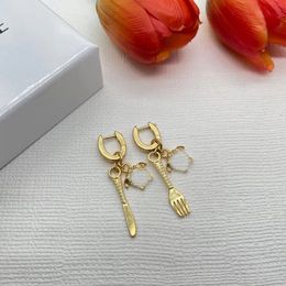 Free shipping Fashion brand designer earring for women Copper Head earrings retro stylish personality earrings interlock style classic matching earrings