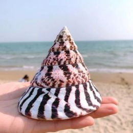 Decorations Large TowerShaped Paperweight for Fish Tank Landscaping, Aquarium Decoration, Rare Seashells, Mediterranean Style, Paperweight