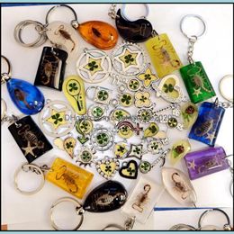 Key Rings 60 Pcs Fashion Mixed Style Real Four Leaf Clover Scorpion Starfish Colorf Keychain Drop Delivery Jewelry Otphi