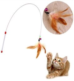 Wire Funny Cat Toy With Feather Bells Funny Cat Stick Pet Supplies Funny Cat Pet Teaser Feather Thread Toy2831792