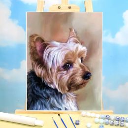 Number Animal Yorkshire Terrier Painting By Numbers Complete Kit Oil Paints 40*50 Canvas Pictures Decoration Crafts For Adults Art