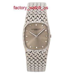 AP Hot Watch Racing Watch 18k Platinum Scale with Diamond Set Fashion Manual Mechanical Womens Watch Luxury Watch Swiss Watch Highend Womens