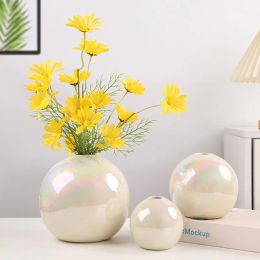 Vases Pearl Coloured Ceramic Ball Vase Home Decoration Ornaments Flower Pot Modern Art Living Room Porch Table Decor Accessories Office