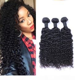 Indian Jerry Curl 100 Unprocessed Human Virgin Hair Weaves Remy Human Hair Extensions Human Hair Weaves Dyeable 3 bundles3562821