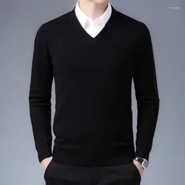 Men's Sweaters Men Thick Super Fine Merino Wool 2024 Autumn Winter Long Sleeve Man Pure V-neck Pullovers