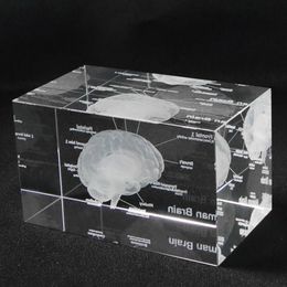 3D Human Anatomical Model Paperweight Laser Etched Brain Crystal Glass Cube Anatomy Mind Neurology Thinking Medical Science Gift 2259f