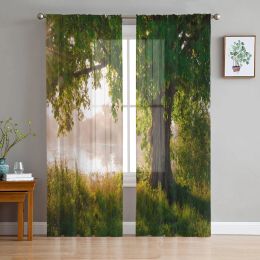 Curtains Arbour Tree Lake Landscape Sheer Voile Curtain For Living Room Transparent Tulle Window Curtains For Bedroom Accessories Decor