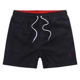 2024 Men small horse embroidery mens designer swimming trunks beach shorts fashion Quick drying mens casual swim short